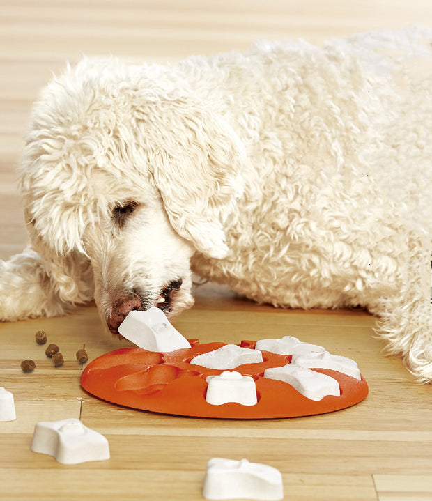 Creative Pet Food Toys | Food Toys