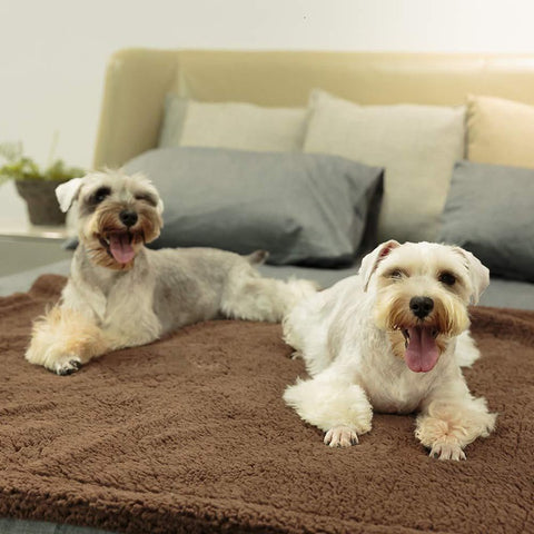 Fluffy Pet Blanket | Pet Mat | Pet Cooling Mat