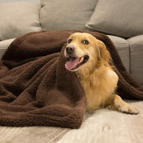 Fluffy Pet Blanket | Pet Mat | Pet Cooling Mat