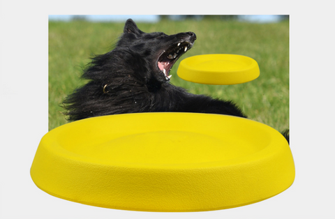 Dogs Throwing Plastic Toys | Dog Toys & Gadgets 