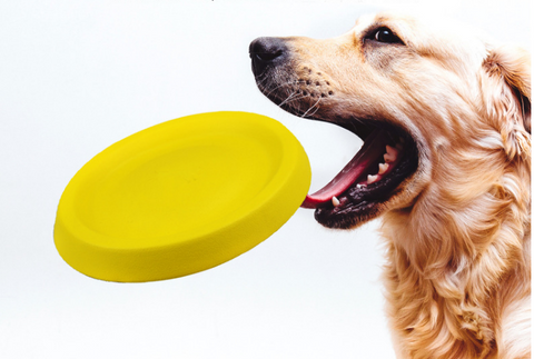 Dogs Throwing Plastic Toys | Dog Toys & Gadgets 