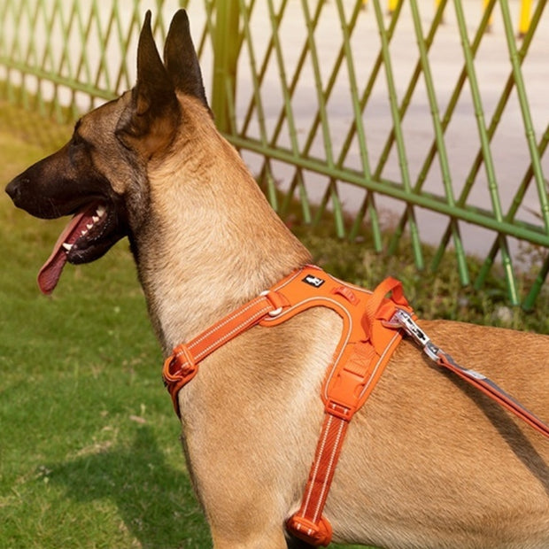 Dogs Pet Harness Reflective Hand Holding Rope