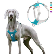 Breathable and reflective pet chest harness traction rope
