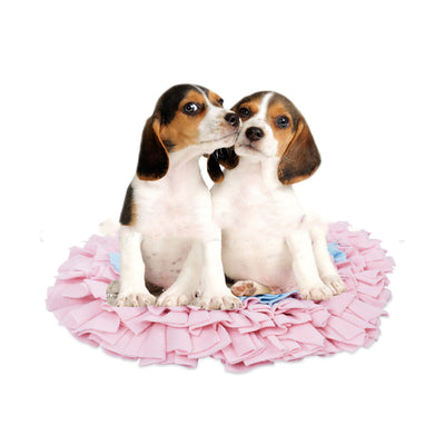 Love Pet Sniffing Pad Biting Toys