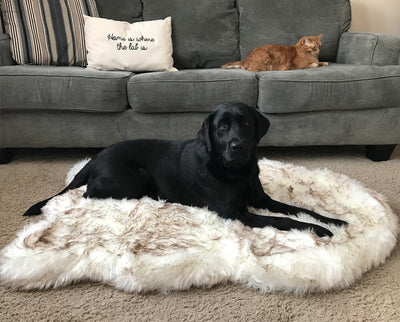 Pet dog plush mat beige mat pet dog rest