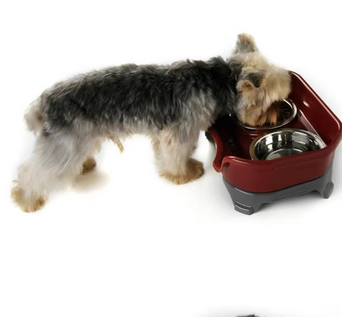 Pet Food Bowl | Exclusive Stainless Steel Pet Food Bowl