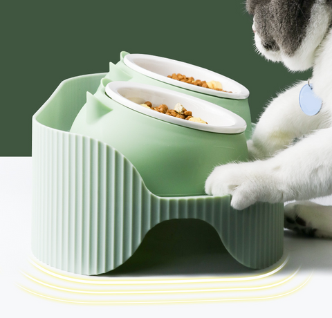 Stylish Pet Cat Bowl | Ceramic Collection