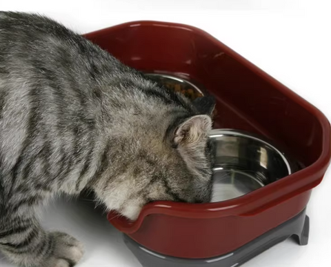 Pet Food Bowl | Exclusive Stainless Steel Pet Food Bowl