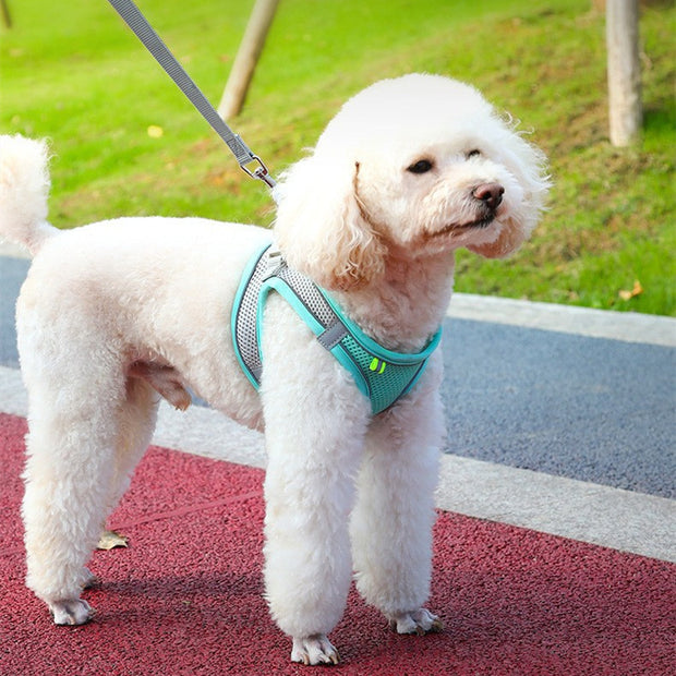 Pet Dog Vest Type Leash Reflective Harness