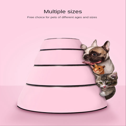 Steel Food Bowls | Pet Feeder