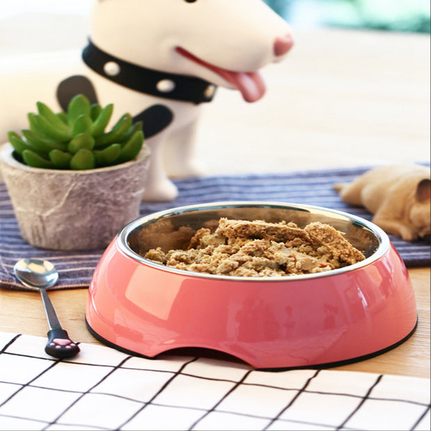 Steel Food Bowls | Pet Feeder