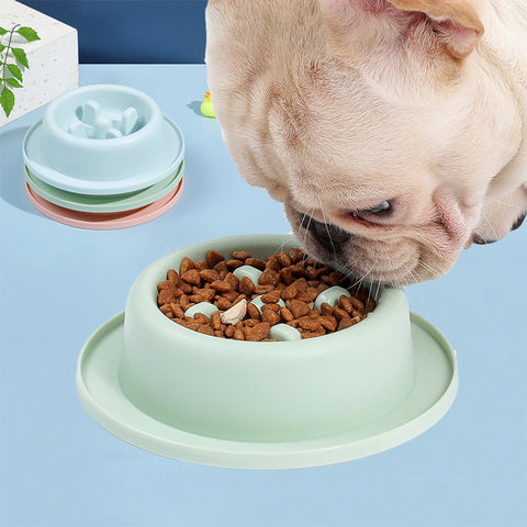 Anti-Choking Pet Bowl